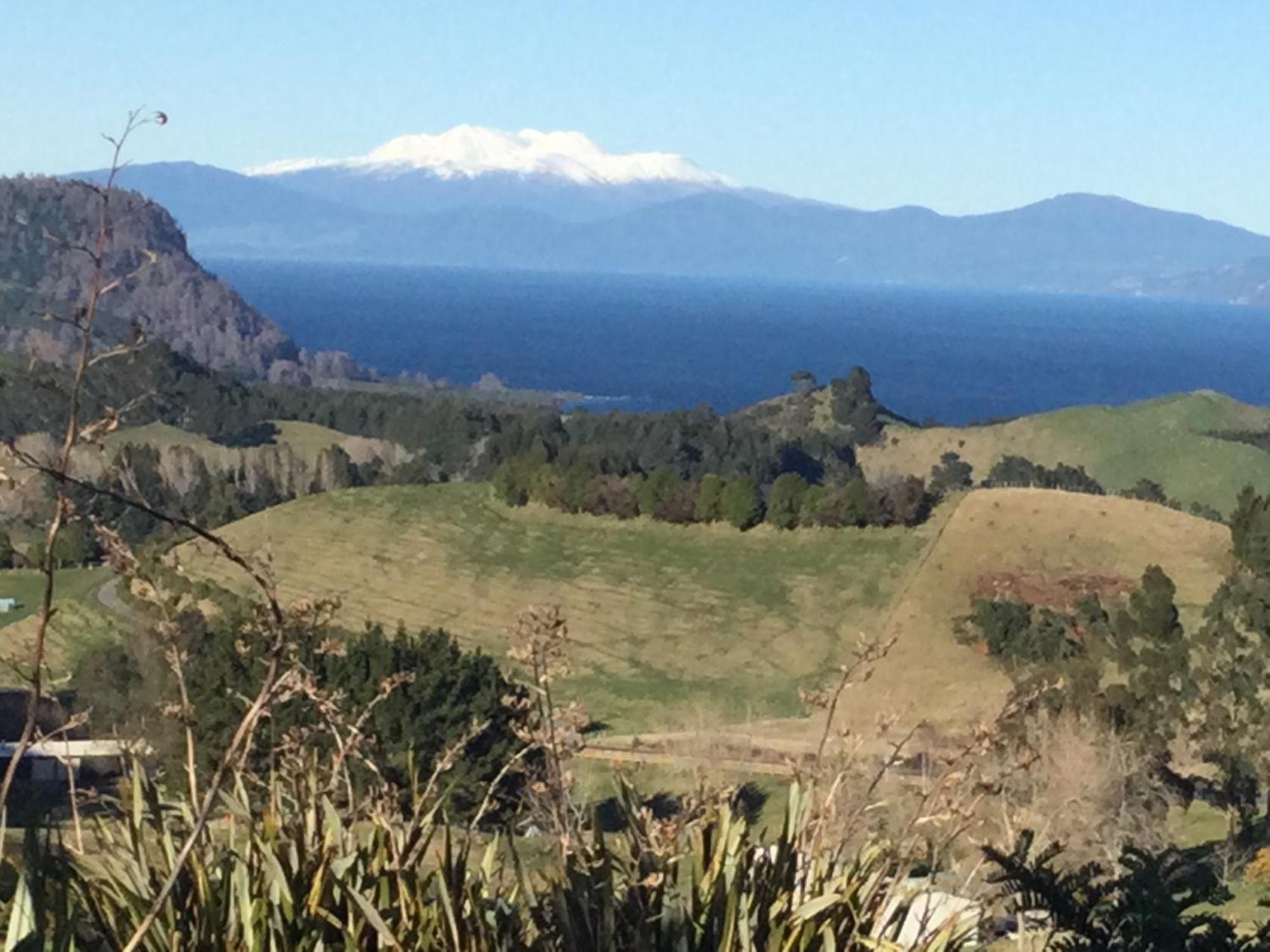 Whakaipo Bay Cabin Retreat タウポ エクステリア 写真