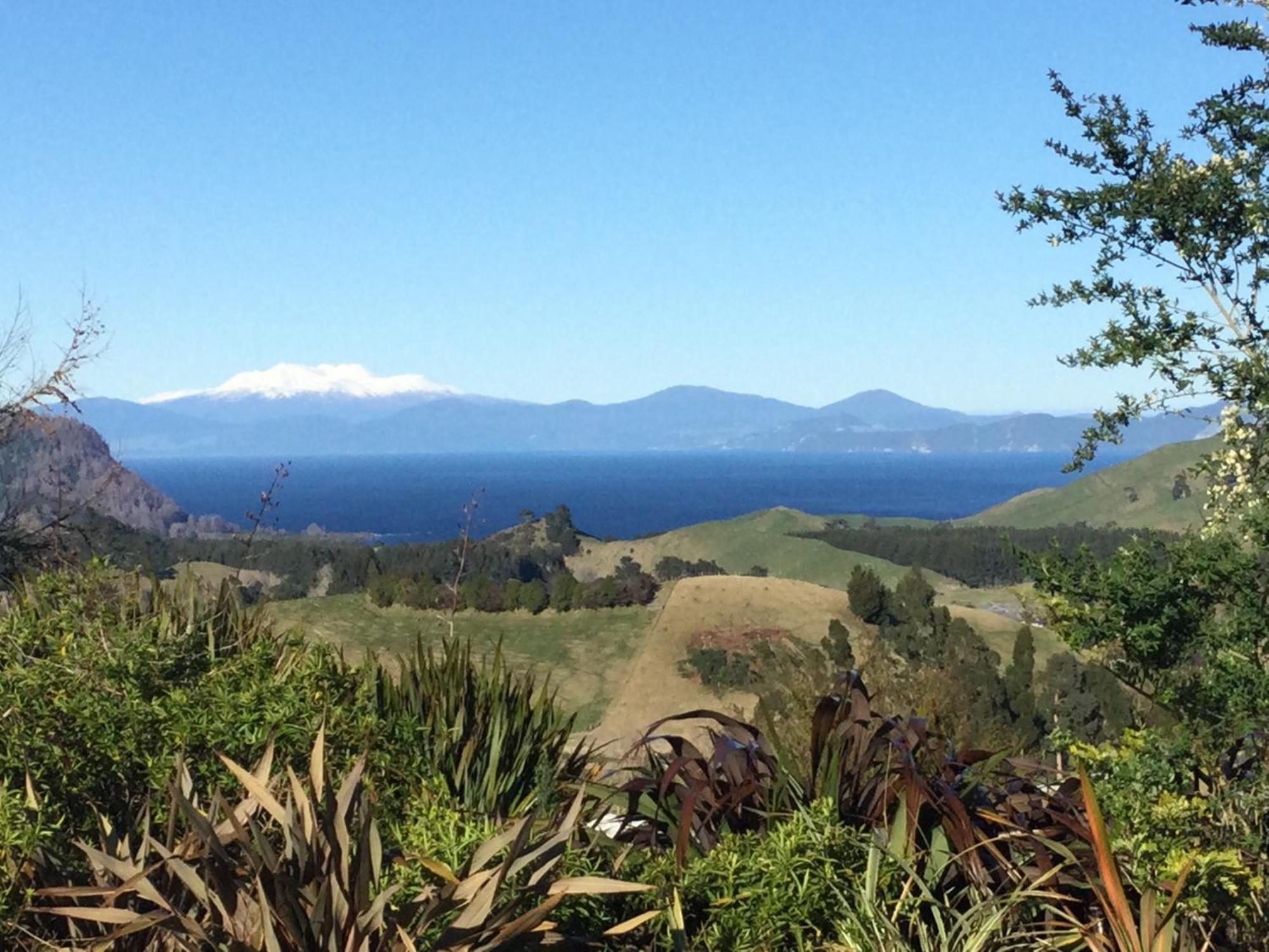 Whakaipo Bay Cabin Retreat タウポ エクステリア 写真